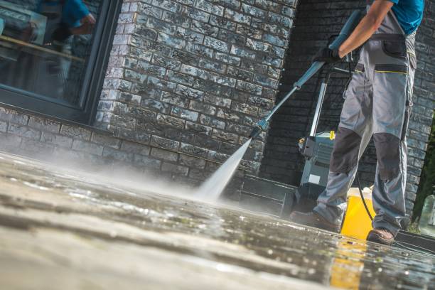 Best Gutter Cleaning and Brightening in Spring Valley, MN